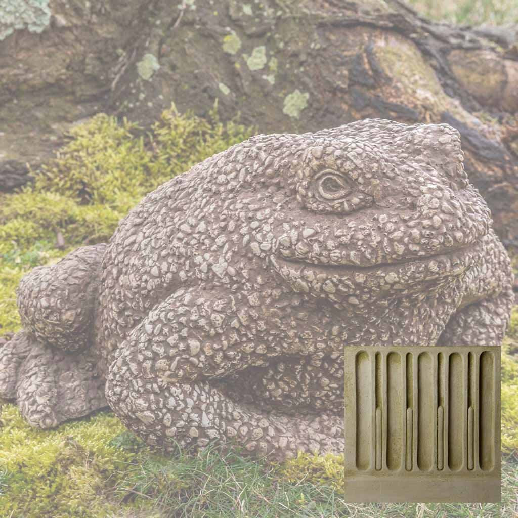 Forest Toad