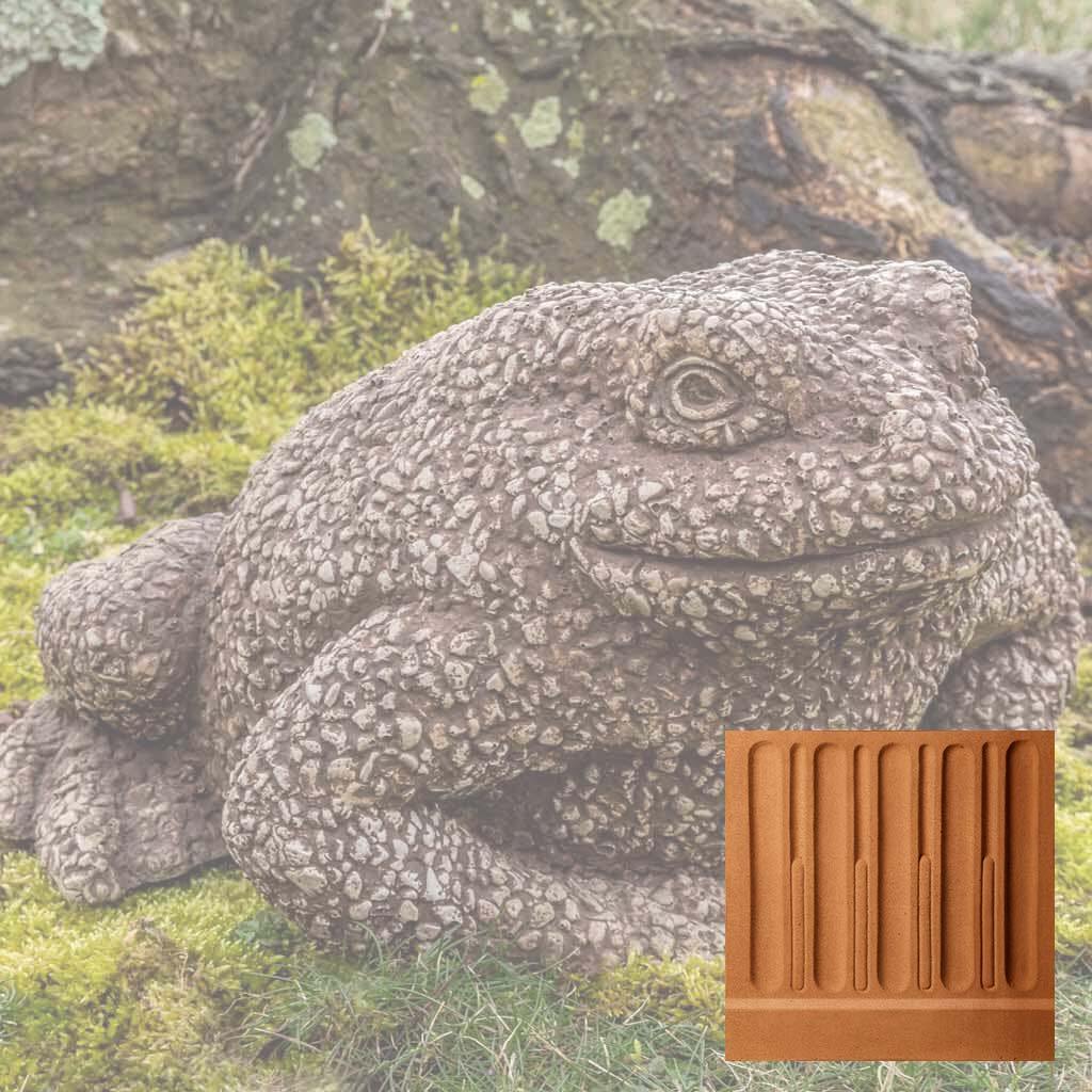 Forest Toad