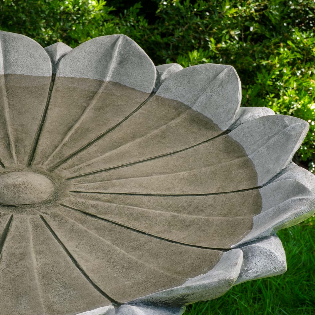 Marguerite Birdbath