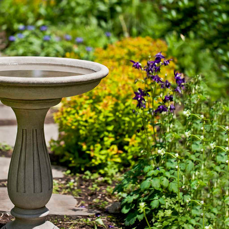 Wyndmoor Birdbath