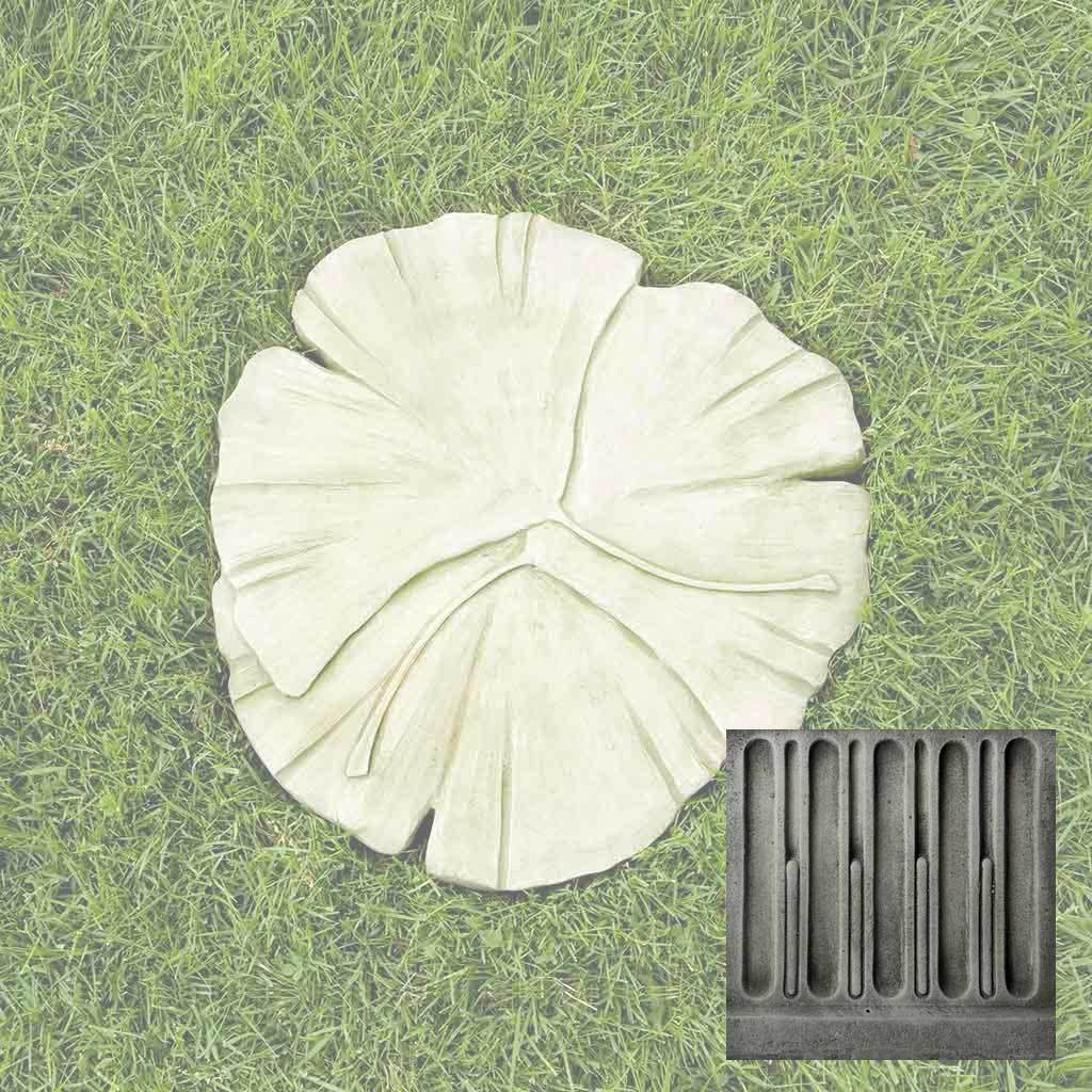 Gingko Stepping Stone