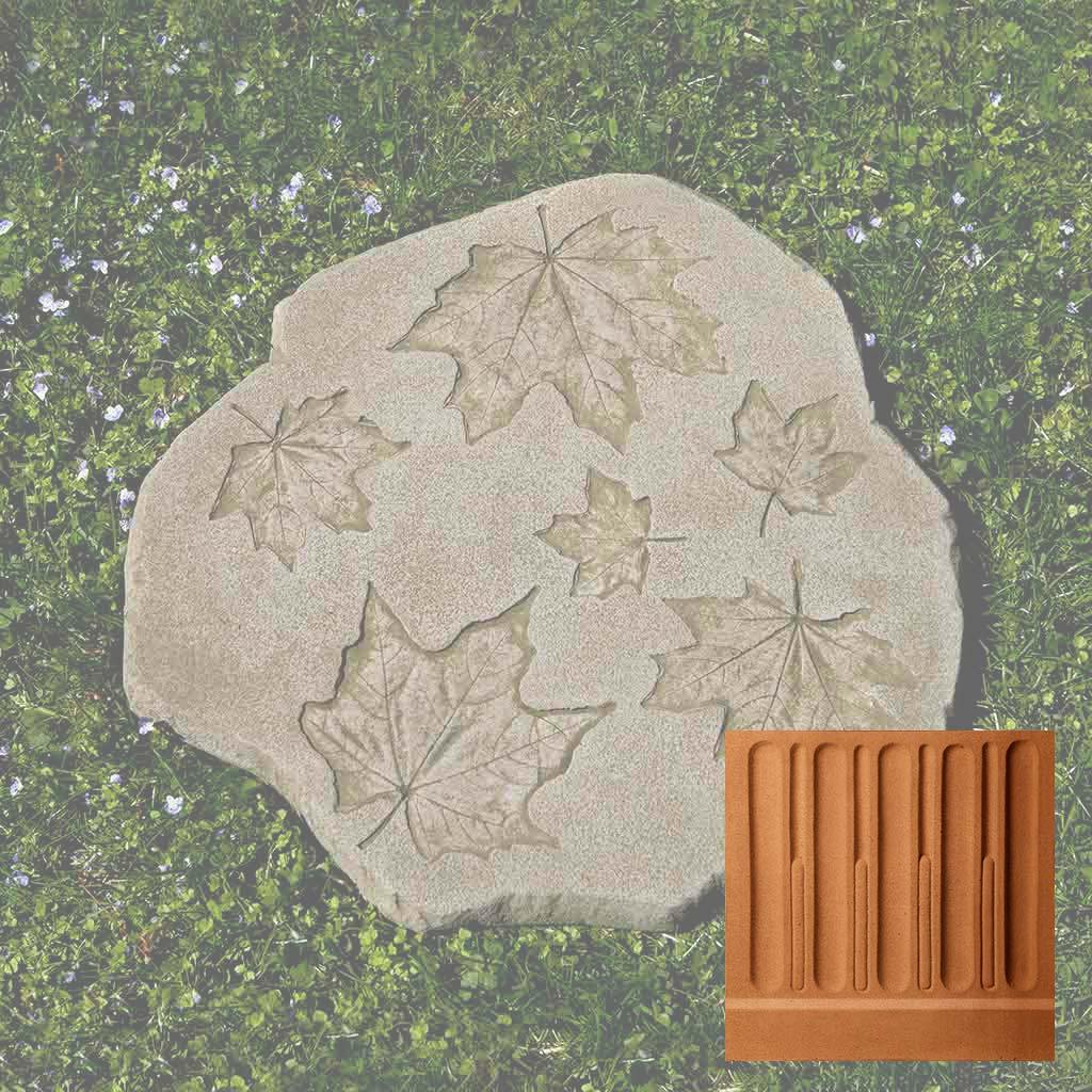 Sugar Maple Stepper