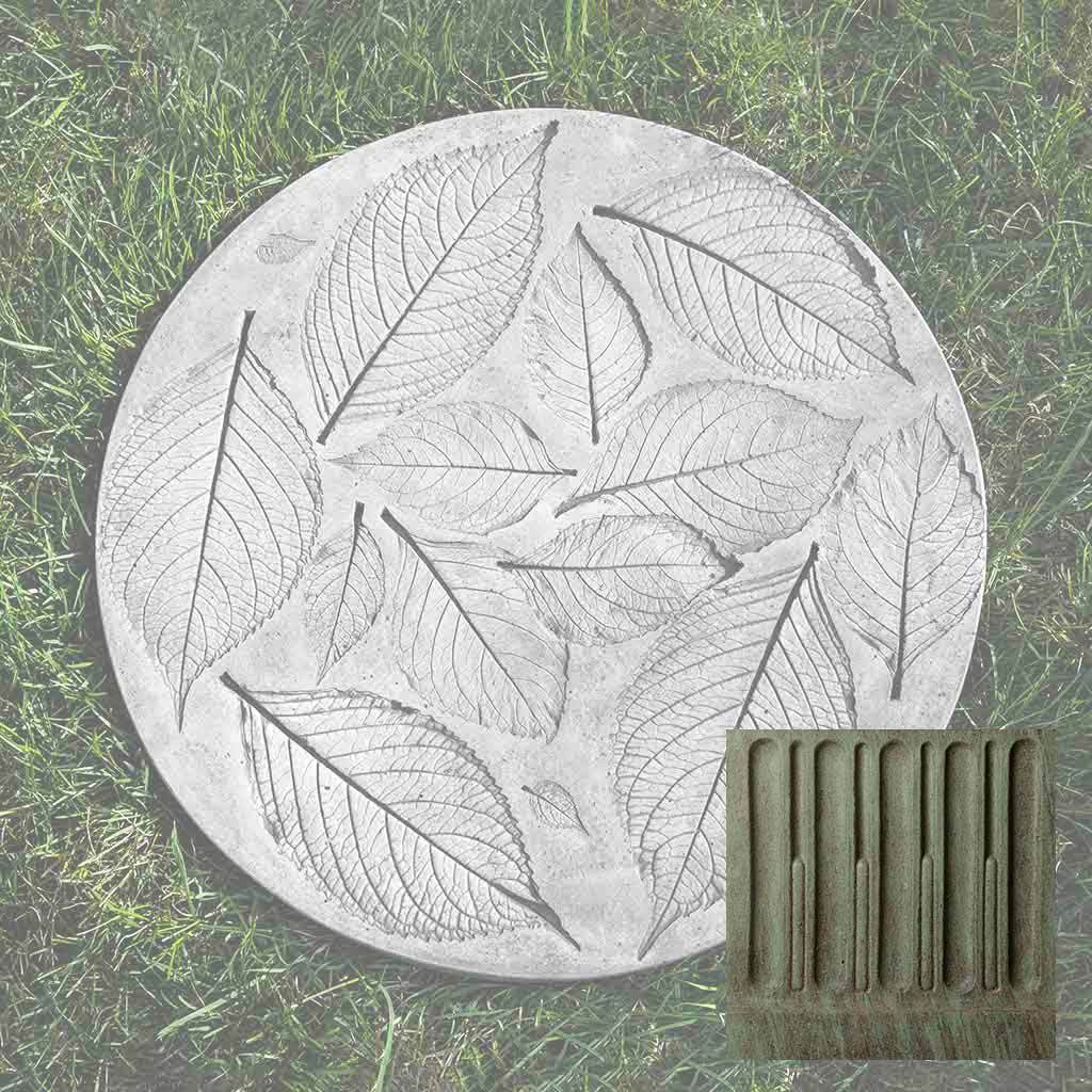 Hydrangea Leaf Stepper