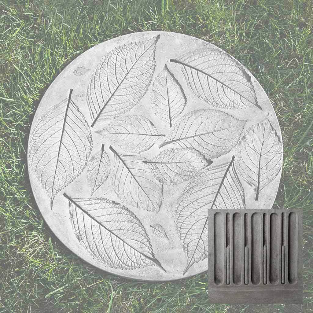 Hydrangea Leaf Stepper