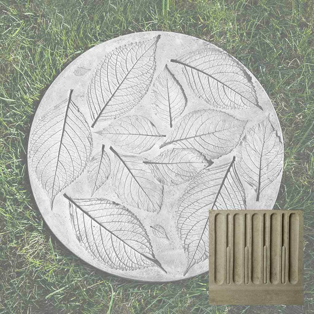 Hydrangea Leaf Stepper