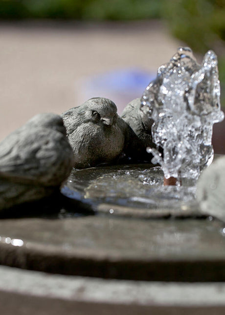 Passaros II Fountain