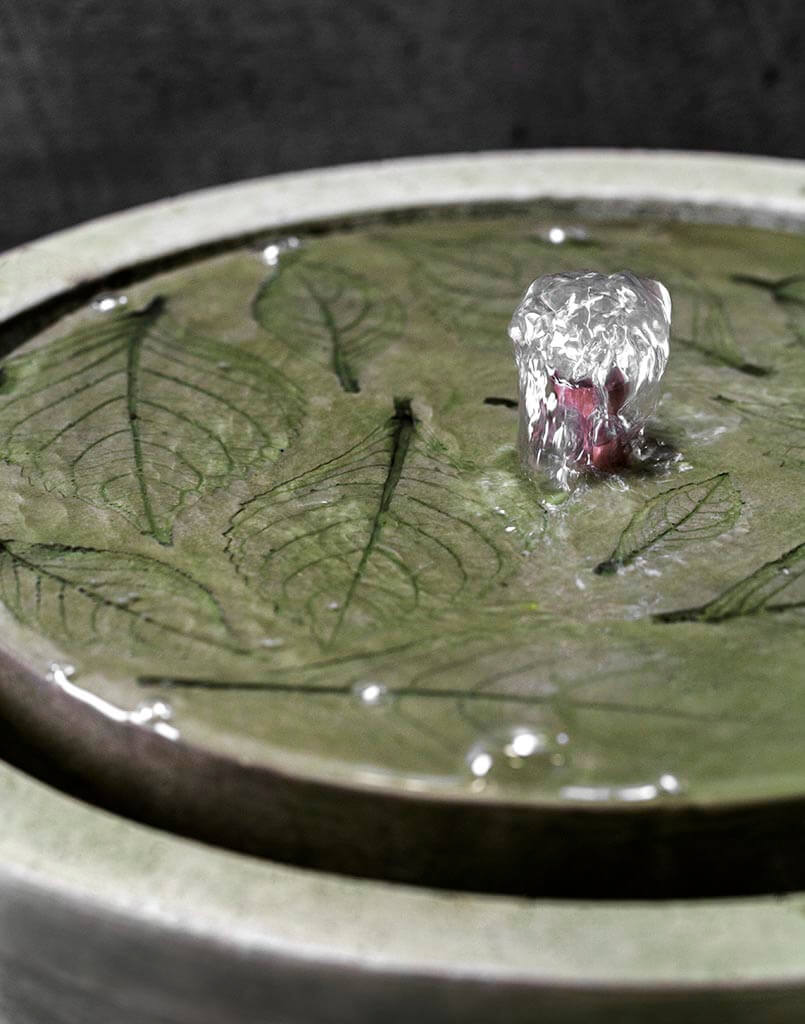 Hydrangea Leaves Garden Terrace Fountain