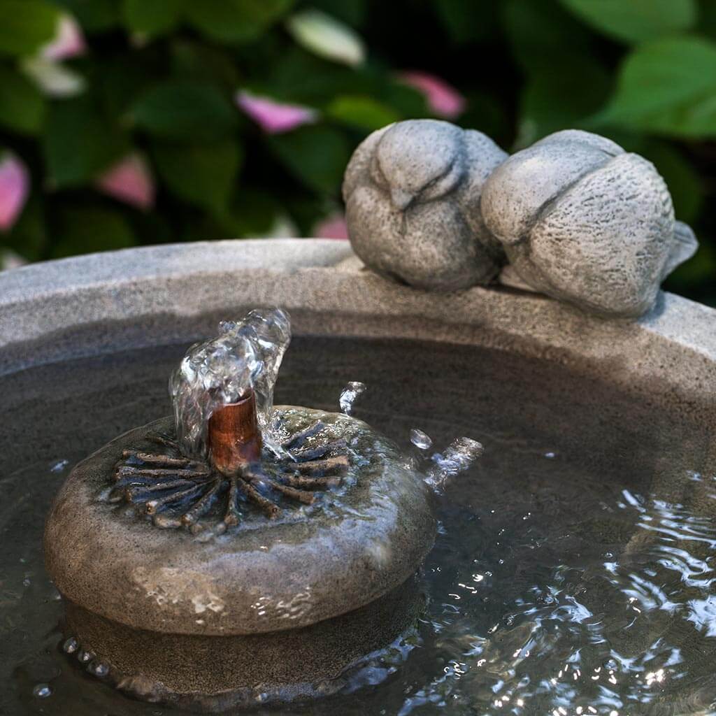Paradiso Fountain