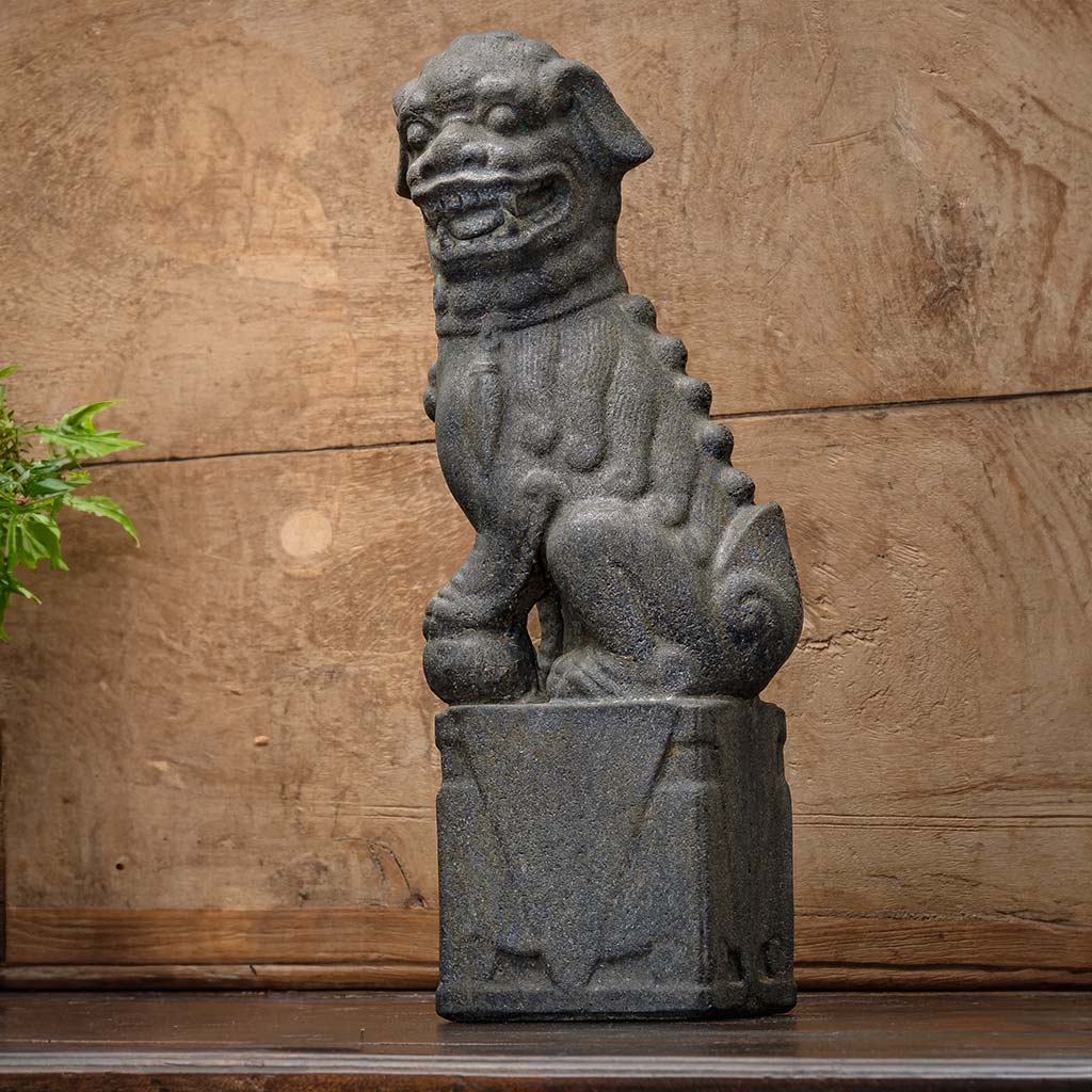 Nara Foo Dogs - Left Male
