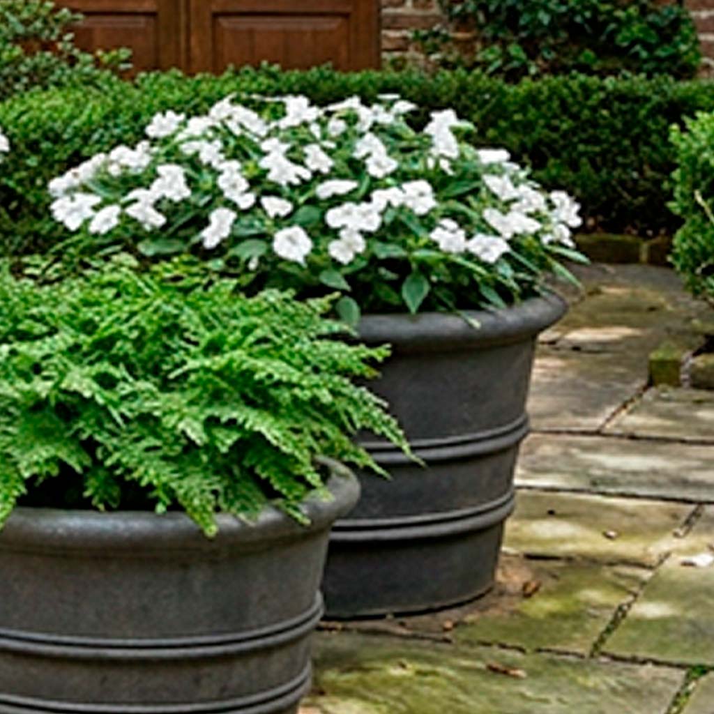 Galerie Planter