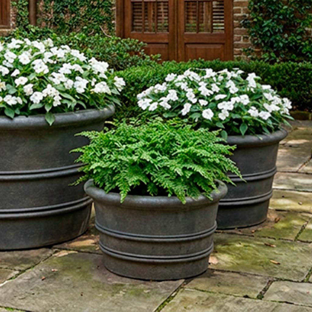 Galerie Planter