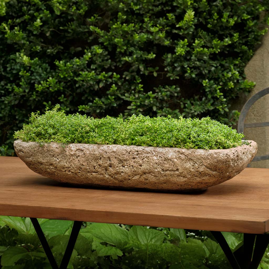 Tulum Planter