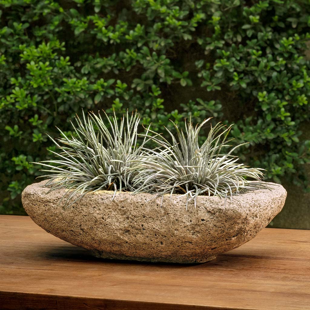 Tulum Planter