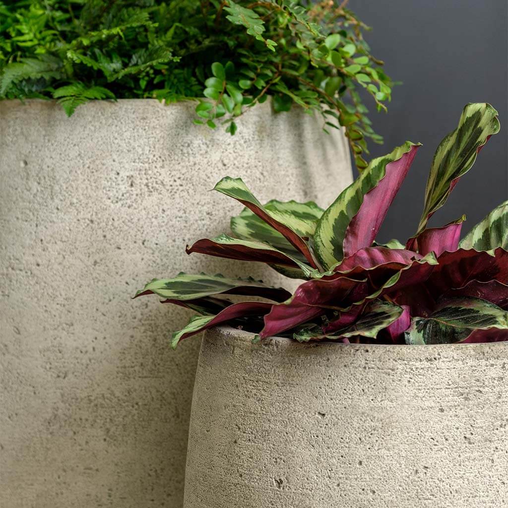 Campania International Bebel Planter - Thumbnail 5