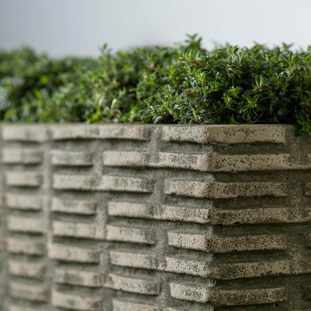 Weft Planter