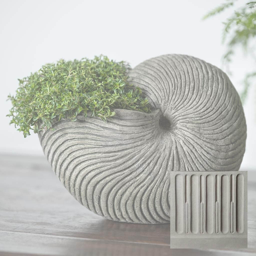 Ammonite Planter