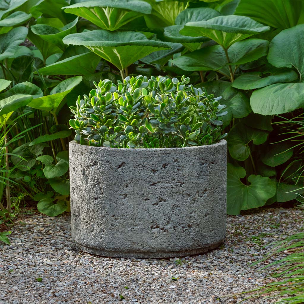 Paros Planter