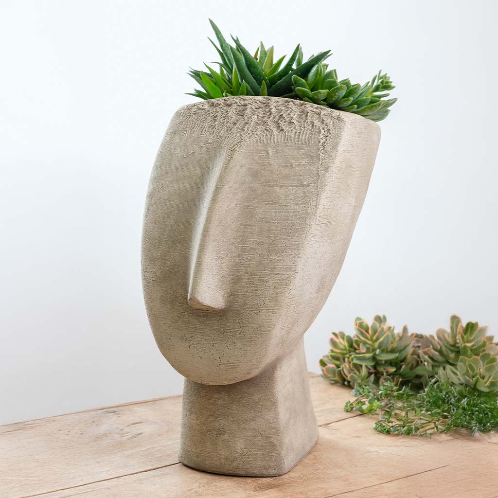Cycladic Head Planter