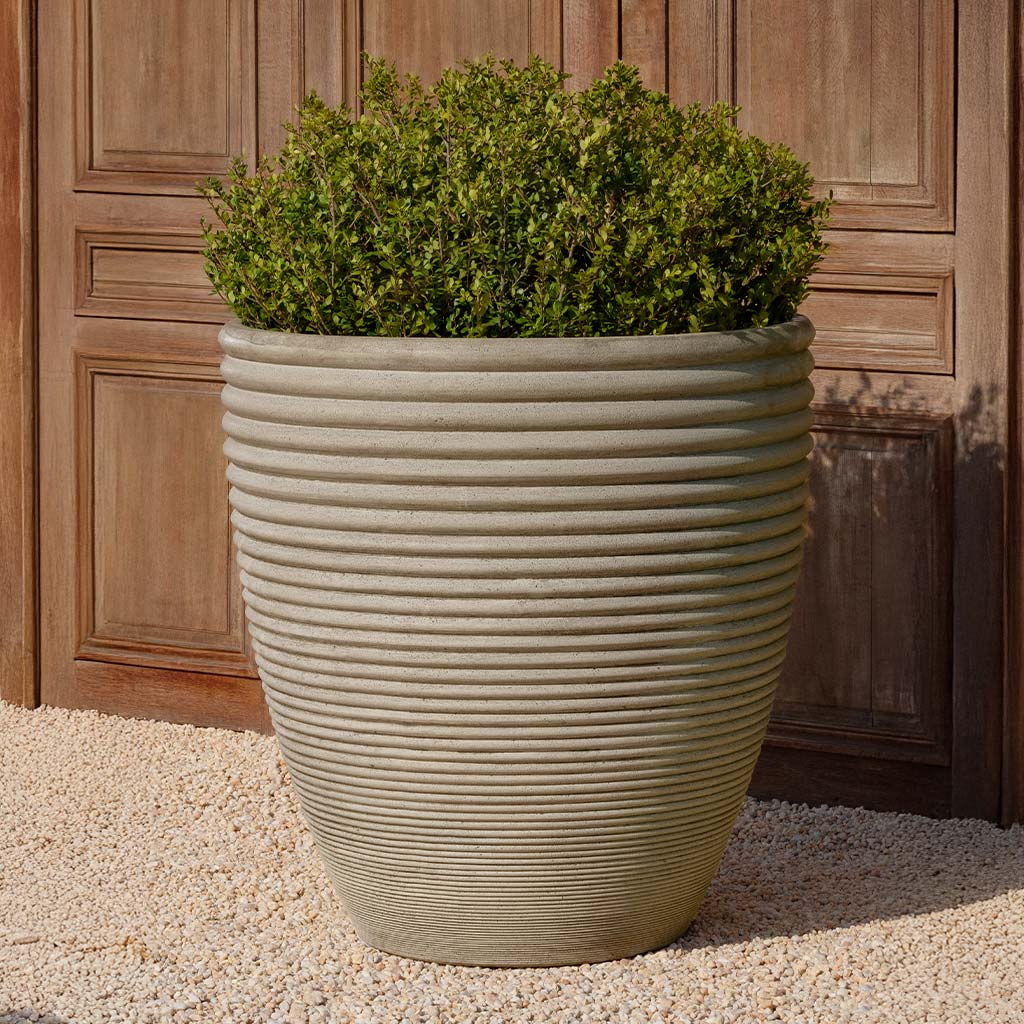 Bibendum Planter, Extra Large