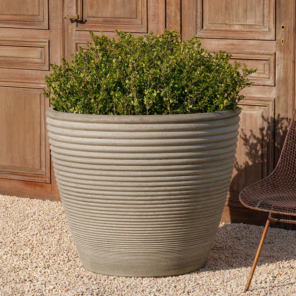 Bibendum Planter, Low Large