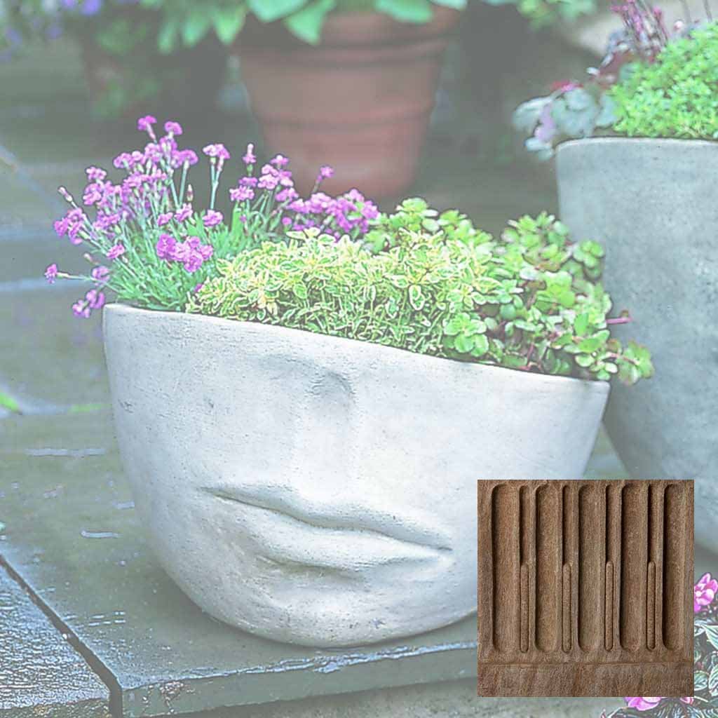 Faccia Planter - Medium