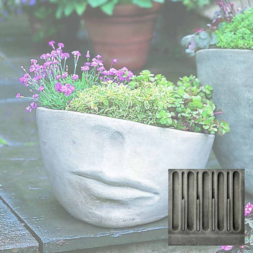 Faccia Planter - Medium