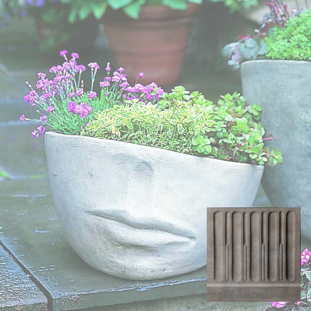 Faccia Planter - Medium