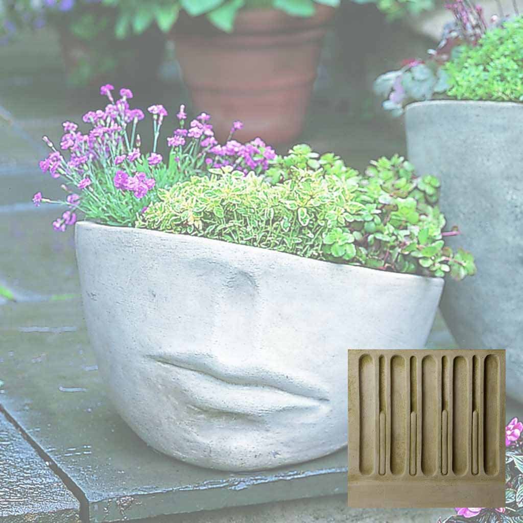 Faccia Planter - Medium