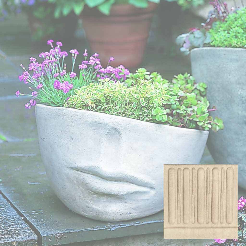 Faccia Planter - Medium