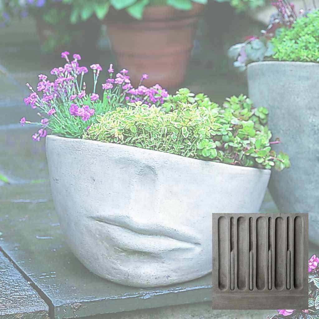Faccia Planter - Medium