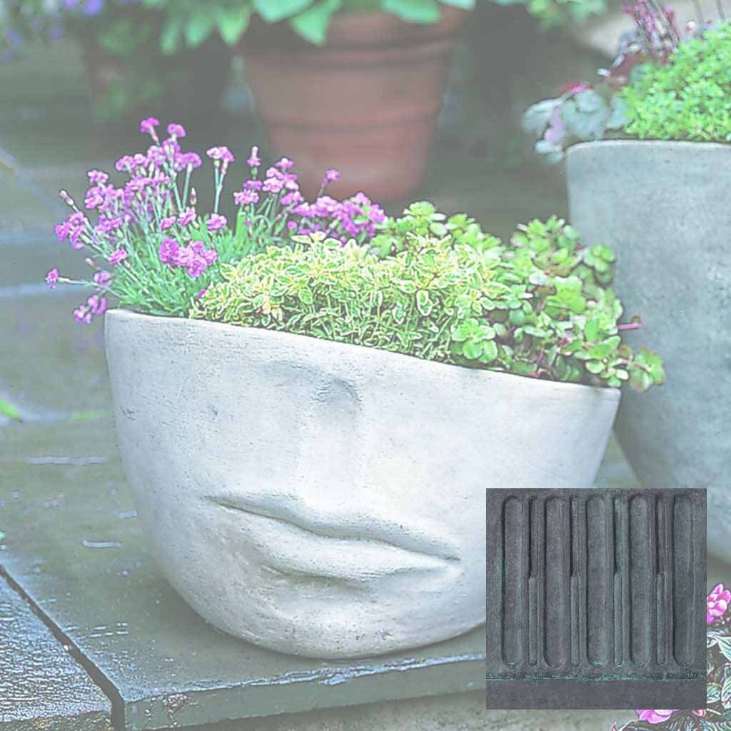 Faccia Planter - Medium