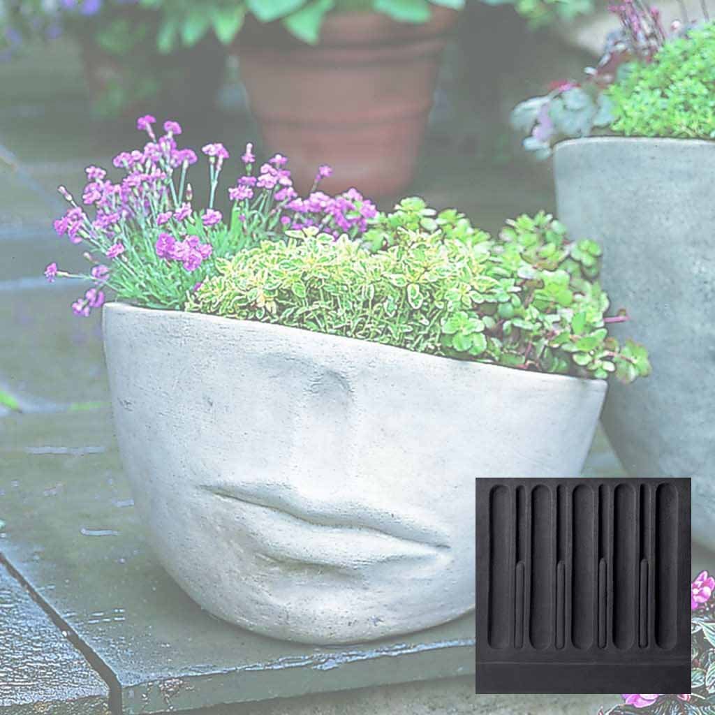 Faccia Planter - Medium