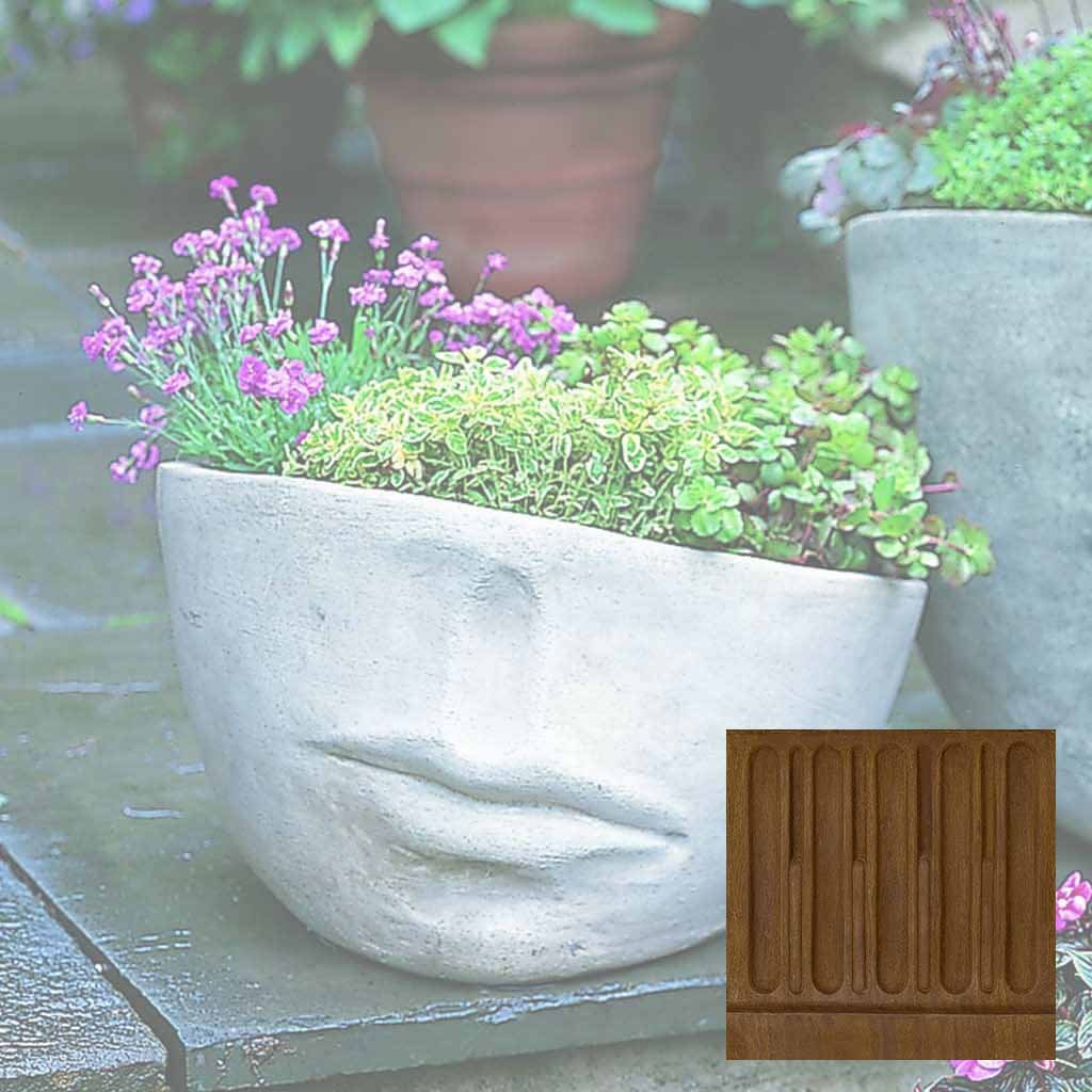 Faccia Planter - Medium