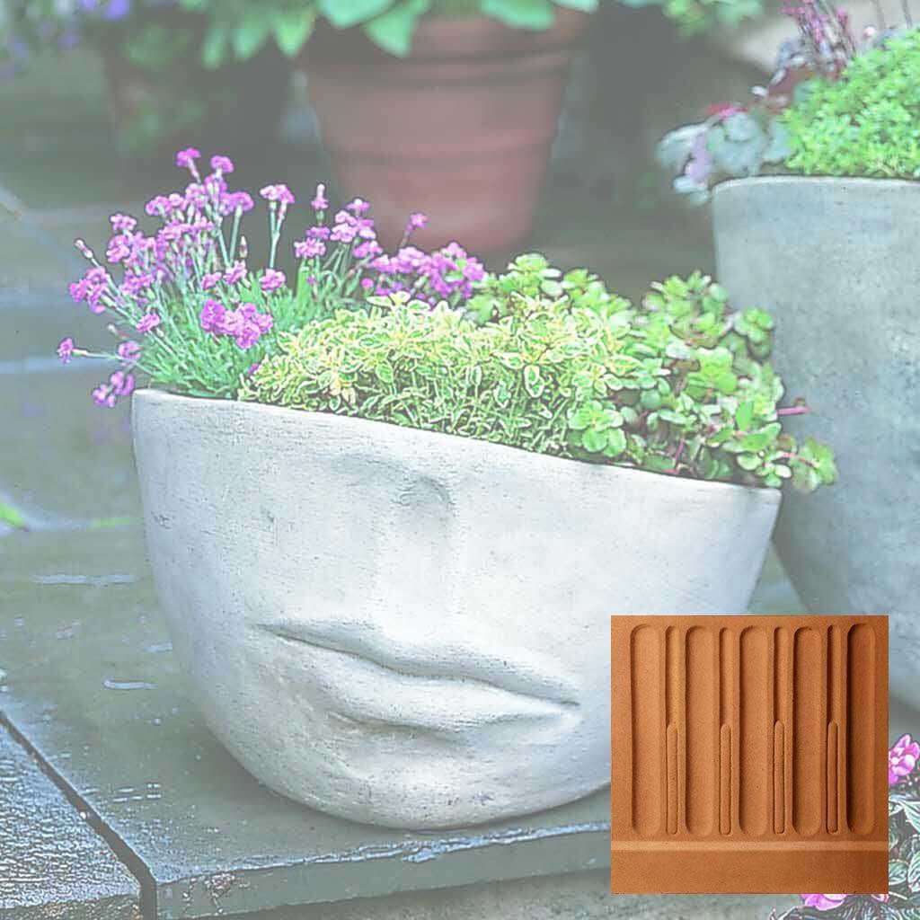 Faccia Planter - Medium