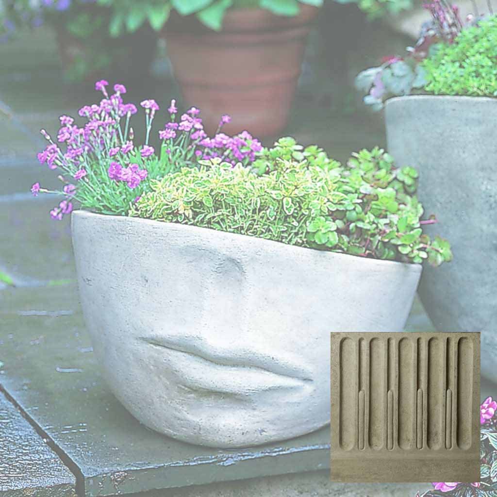 Faccia Planter - Medium