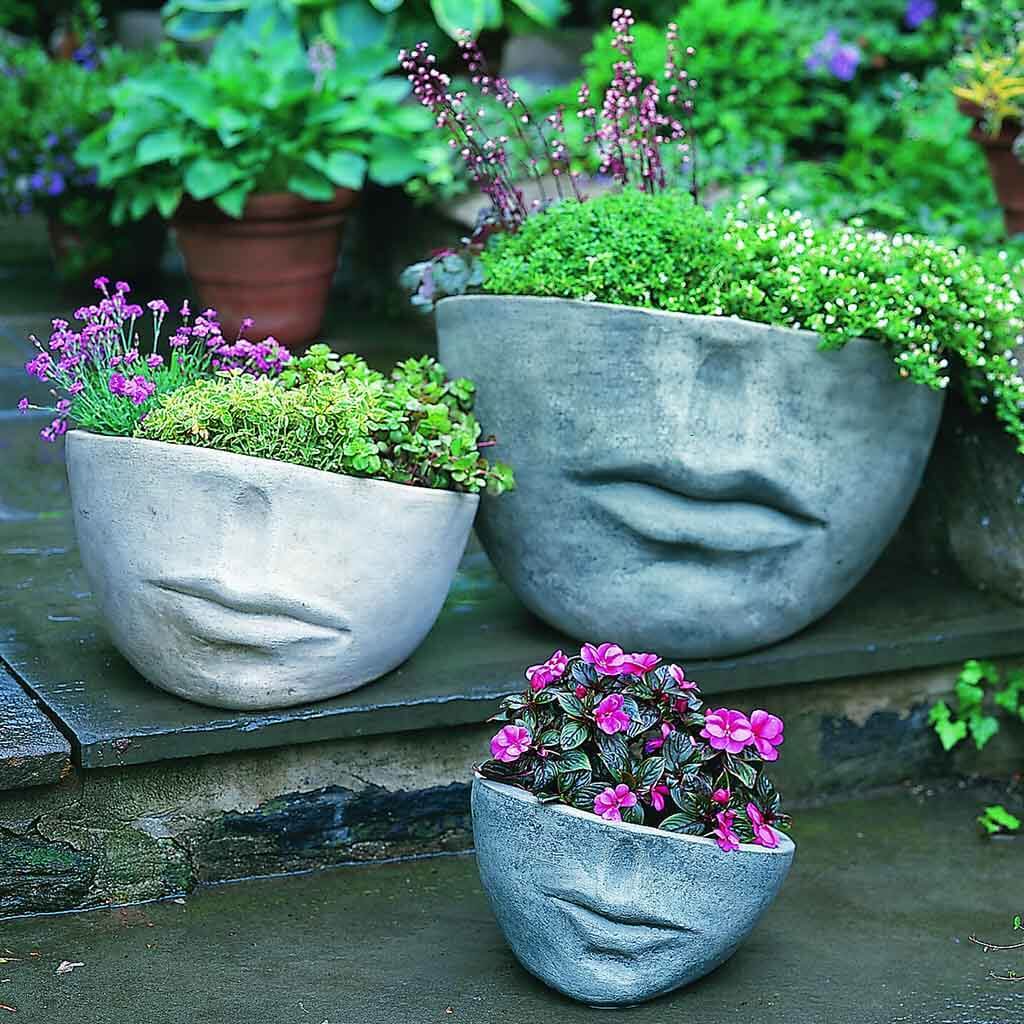 Faccia Planter - Medium