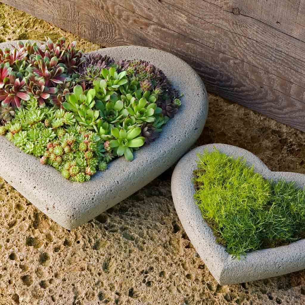 Heart Planter - Large