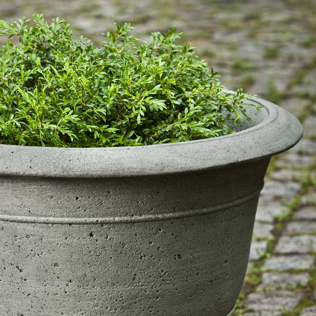 Padova Planter - Medium