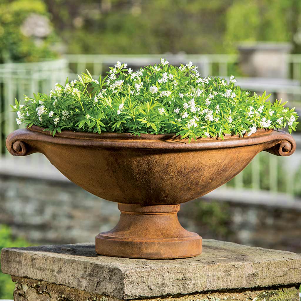 cast stone pot planter Medici Planter, Small Campania International, Ferro Rustico Nuovo (FN)