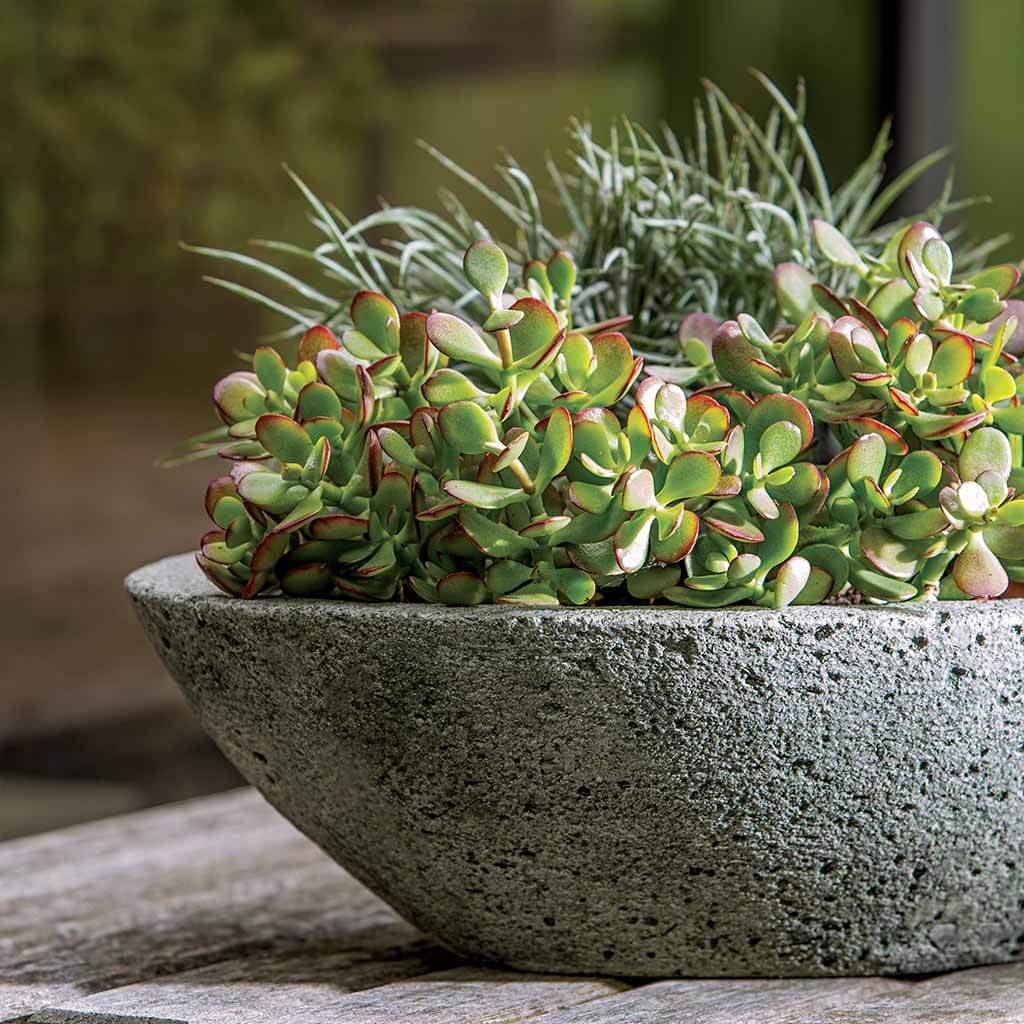 circle succulent planter Celine Planter Campania International Pietra Nuova (PN)