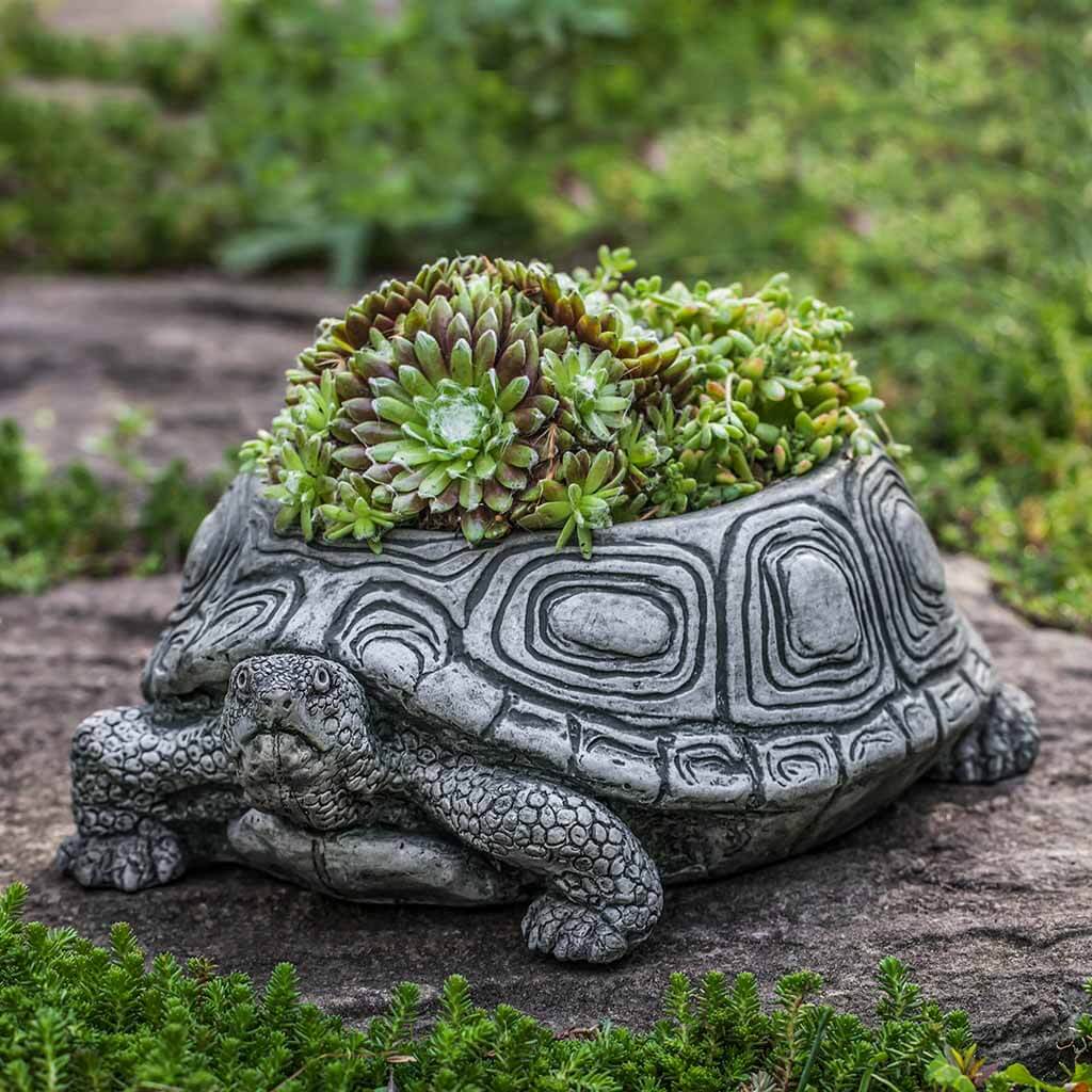 turtle pot plant Campania International Small Turtle Planter