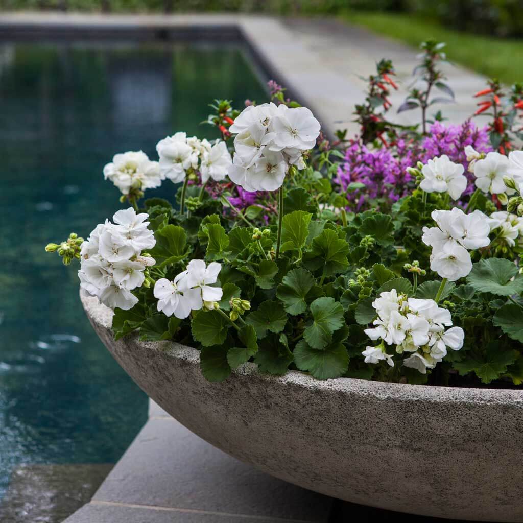 Campania International Textured Zen Bowl | Garden-Fountains
