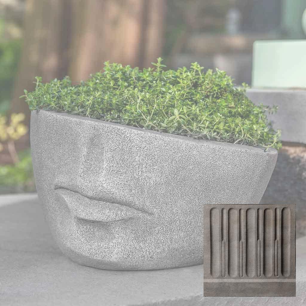 Faccia Planter, Extra Small Campania International, English Lead (EL)