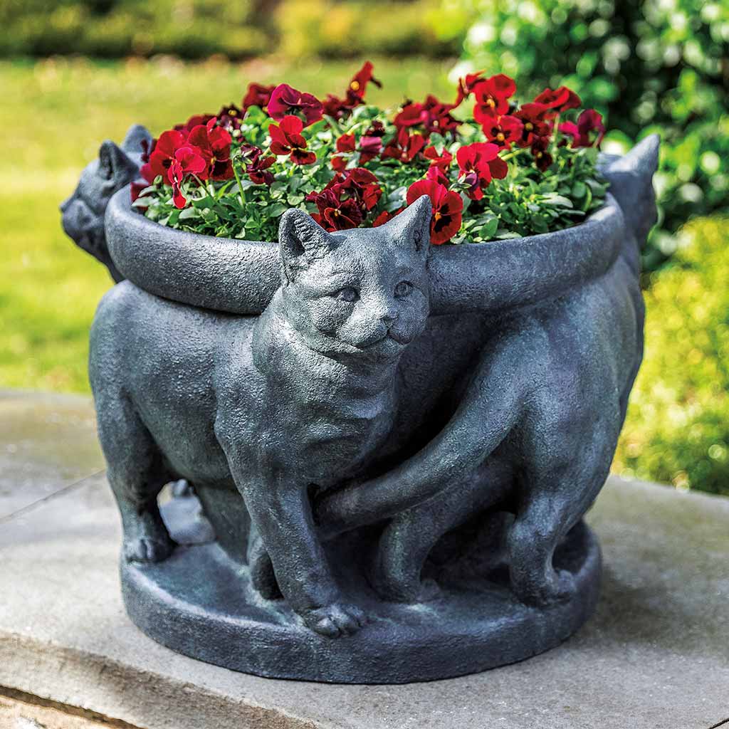 Campania International Cats Planter - Thumbnail 2