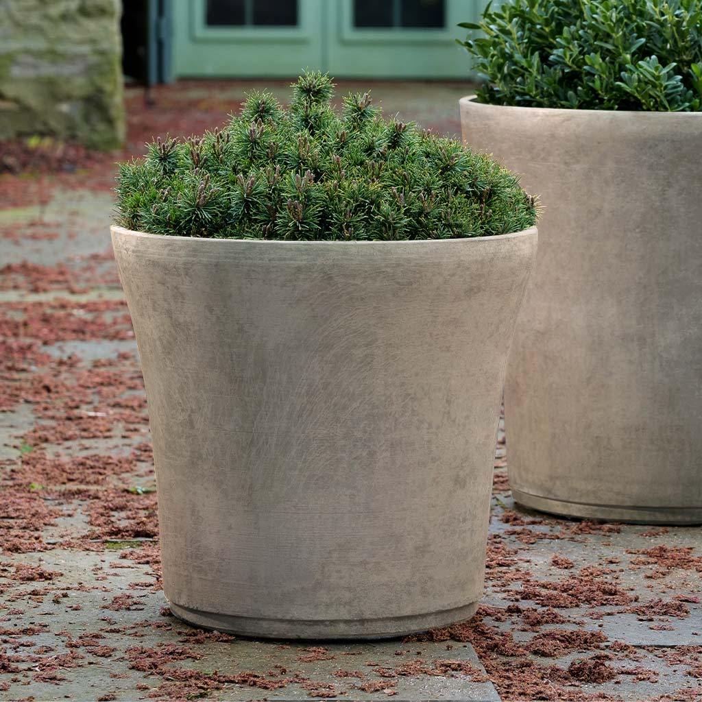 Cloche Planter