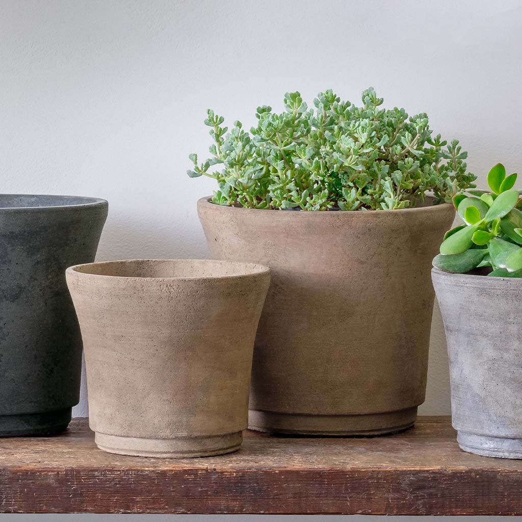 plant pot cloches Cloche Planter - Wide - Grey | Campania International | Fountains & Outdoor Decor
