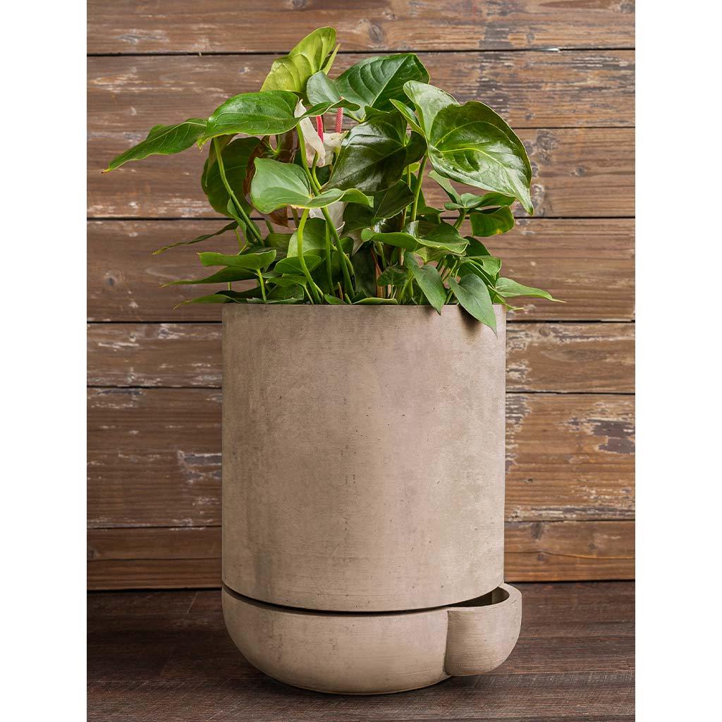 skinny plant pot The Simple Pot, 7 Gallon Planter Campania International Brown