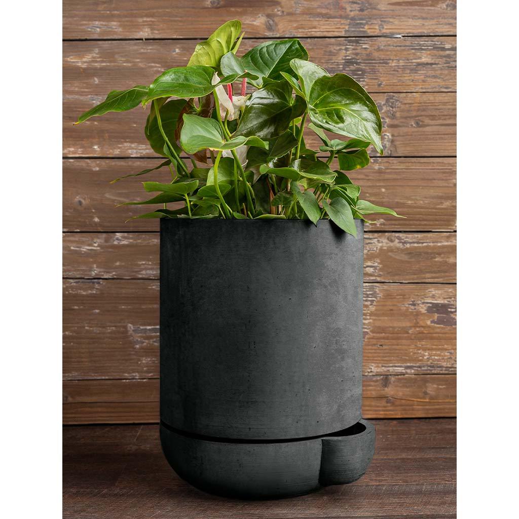 The Simple Pot, 3 Gallon Planter - Grey | Campania International | Fountains & Outdoor Decor