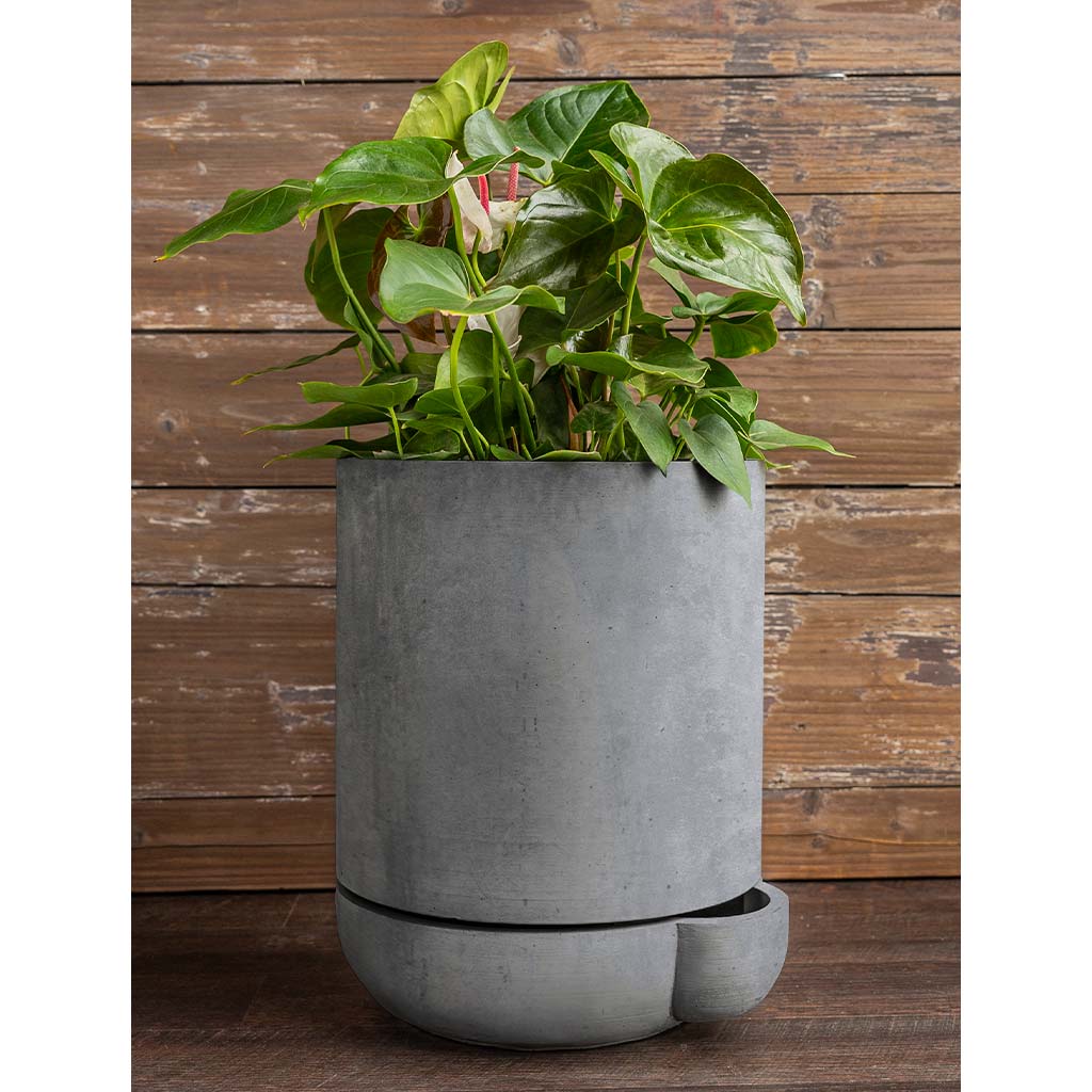 plc-016-the-simple-pot-