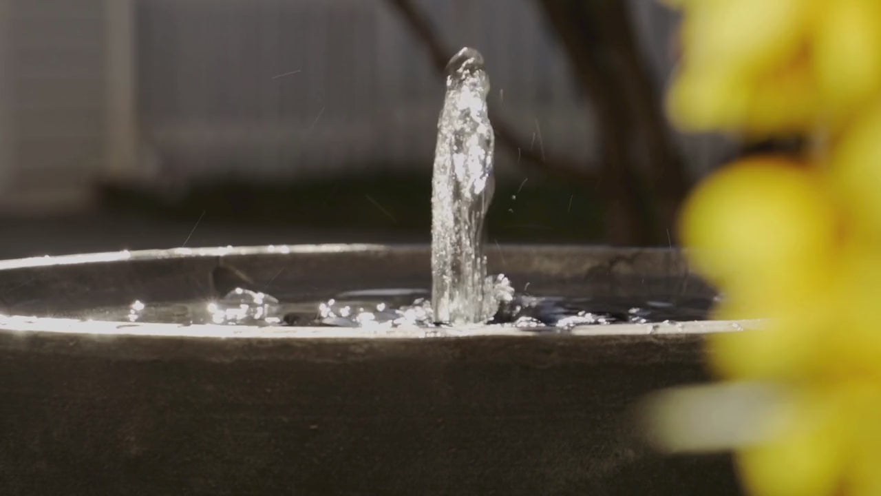Gingko Birdbath Fountain with Remote in Weathered Stone